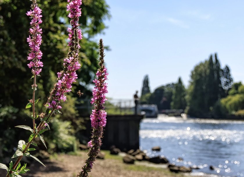 Community feedback shapes Thames Water’s proposals to safeguard London’s drinking water supply